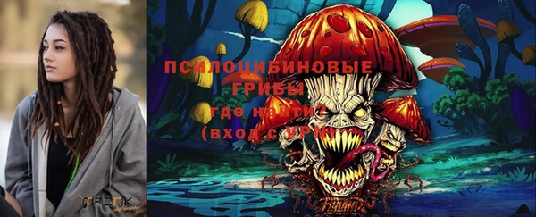 ECSTASY Абаза